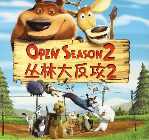 制作假的会计师/证书